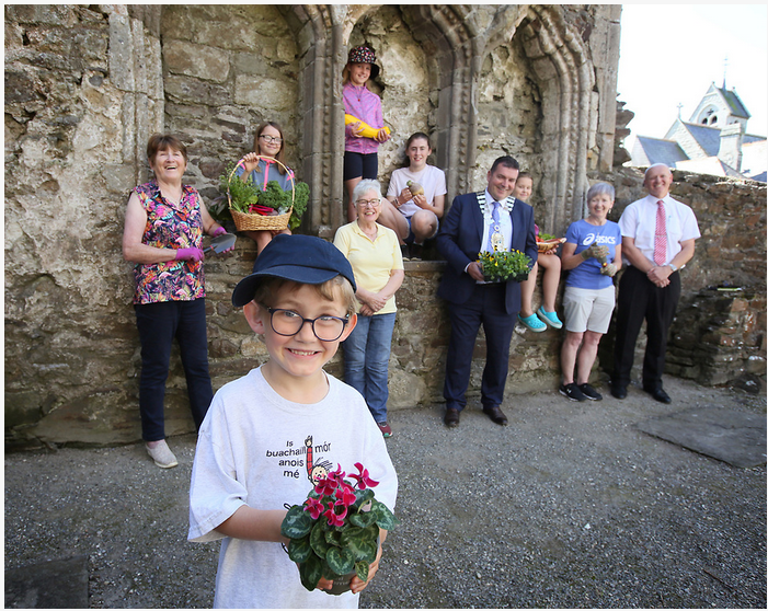 Creative Places Baltinglass Launch